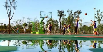 關于云中河景區西北運動場提升改造的公告