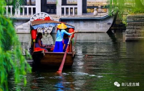 講好臺兒莊故事 大頭蟻游臺兒莊 二