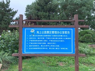 駕昕銳,游覽臺風前的海上公園