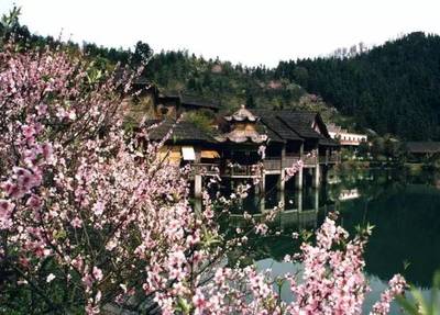 城鎮之源丨景區精細化管理如何實現?