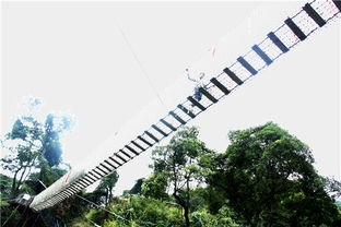 國慶黃金周到佛山南丹山聽鳥語 覓鼠蹤,度一個(gè)動物園假期