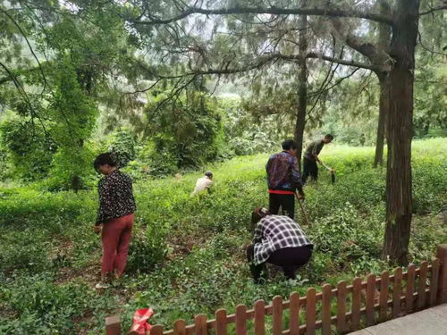 濟(jì)南市靈巖寺景區(qū)加強環(huán)境整治,提升景區(qū)旅游品質(zhì)