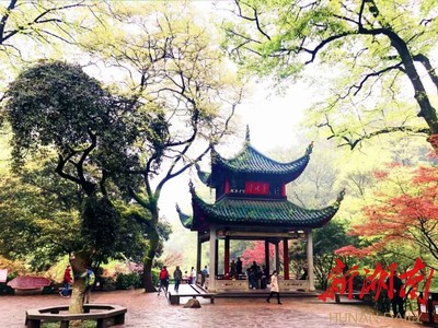 8月25日起,岳麓山景區東門路段整修觀光路線調整