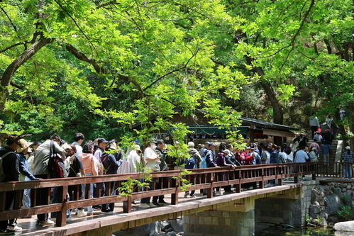 五一 假期前三天 嶗山景區(qū)累計(jì)接待游客超20萬人次