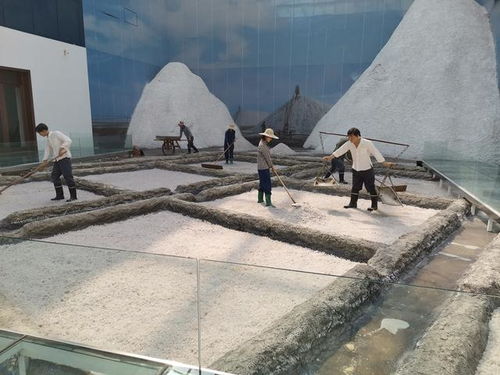 好客山東 百團山東行——濱州無棣站活動啟動，園區管理服務協同助力