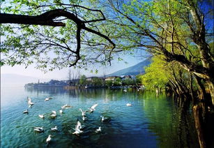 引以為鑒，刀刃向內——邛瀘景區質量提升會后管理優化紀實