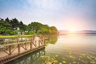 A級景區路在何方 從摘牌、降級與警告看游覽景區管理優化